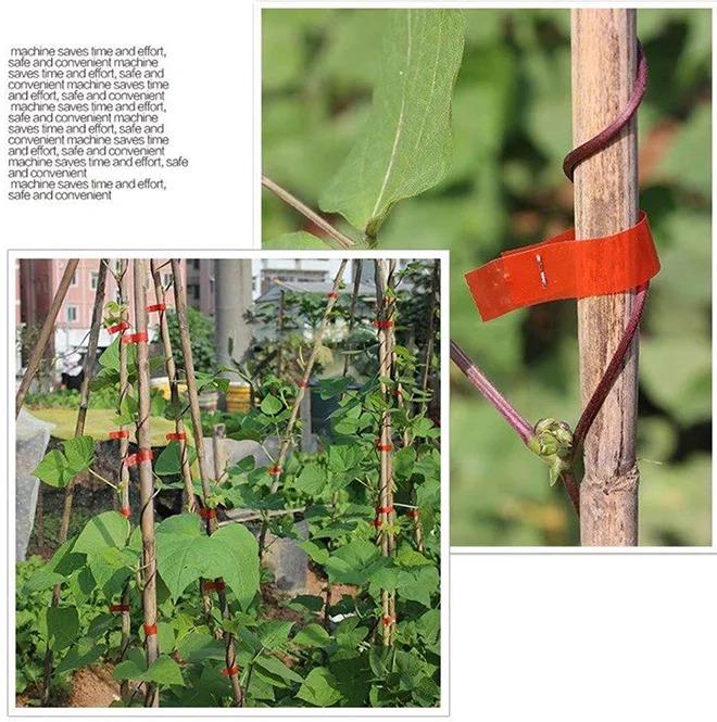 Степлер для підв'язки винограду Tapetool (45636-_348) - фото 3 Степлер для підв'язки винограду Tapetool (45636-_348) - фото 3