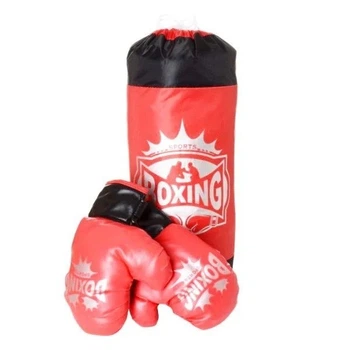 Боксерський набір для дітей та підлітків Profi MR 0093