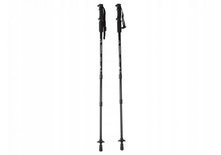 Палка для скандинавской ходьбы EasyFit Energia 1 шт. Черный (EF-3924-BK)