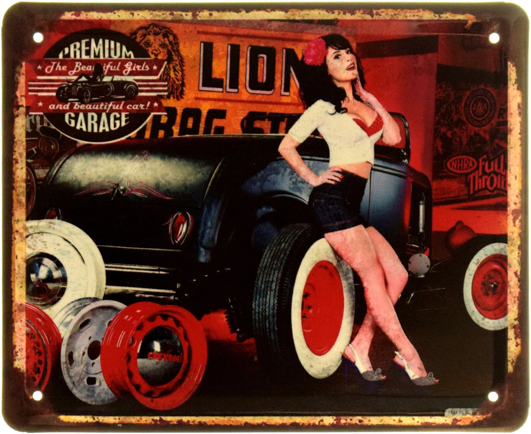 Табличка металлическая "Premium Garage Pin Up" 18x22 см (ms-103955)