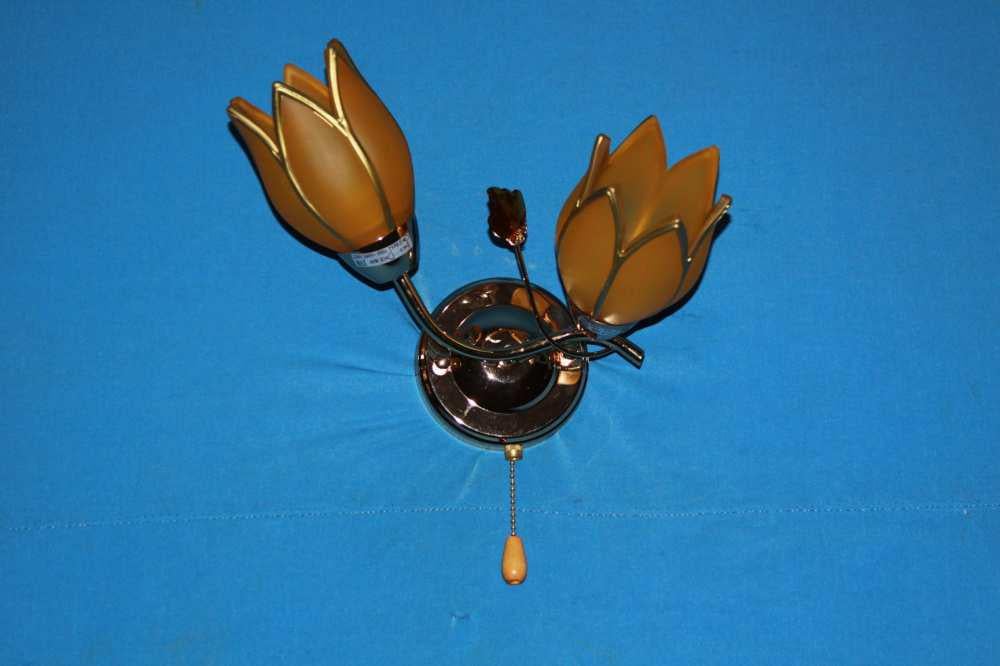 Бра з плафонами Ray B90931/2 (IR005019)