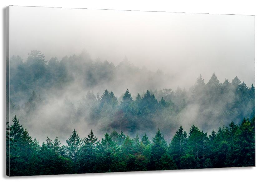 Картина на холсте в гостиную/спальню Природа гор 40х80 см (MLP_299)