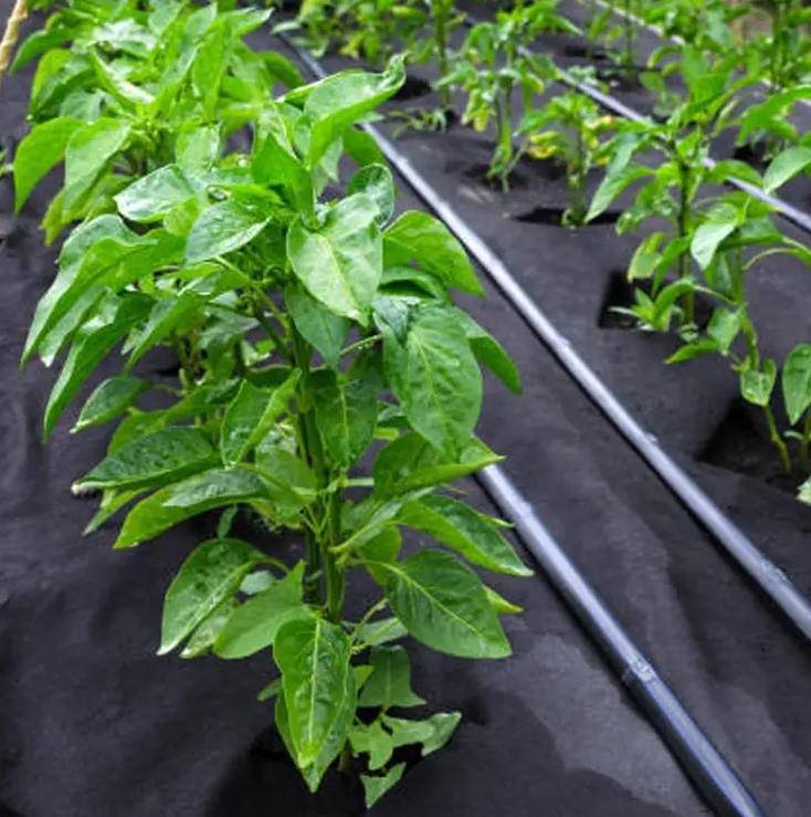 Агроволокно Shadow 50 г/м² 1,07х100 м з перфорацією 2 отвори Чорно-білий (АВЧБП0001) - фото 3