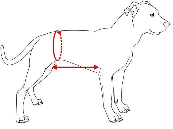 Труси Frakishtak для кобелів S Сірий (28078553) - фото 6 Труси Frakishtak для кобелів S Сірий (28078553) - фото 6