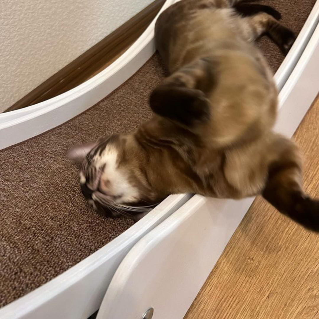 Колесо бігове для котів М Білий - фото 4 Колесо бігове для котів М Білий - фото 4