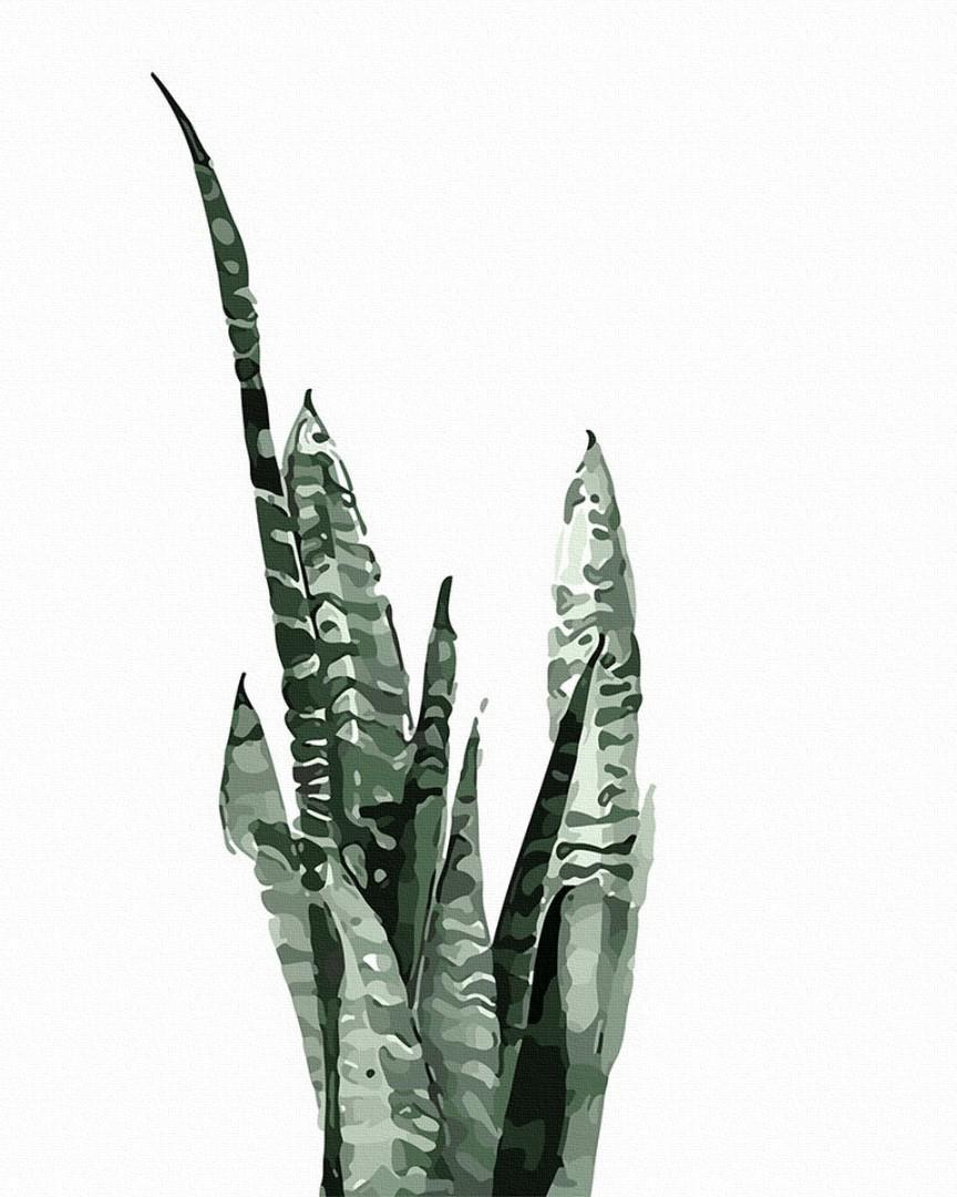 Картина по номерам Brushme Сансевиерия акварелью 40x50 см (GT61071) Картина по номерам Brushme Сансевиерия акварелью 40x50 см (GT61071)