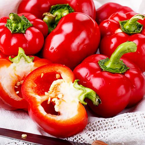 Насіння Перець Florium Ратунда (16799) Насіння Перець Florium Ратунда (16799)