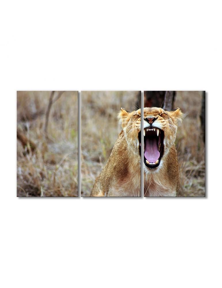 Картина модульная Рык гепарда 3 модуля 60x90 см