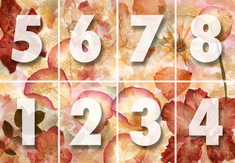 Фотошпалери флізелінові 366х254 см Wizard+Genius 963 Висушені квіти 8 сегментів (7611487064862) - фото 3 Фотошпалери флізелінові 366х254 см Wizard+Genius 963 Висушені квіти 8 сегментів (7611487064862) - фото 3