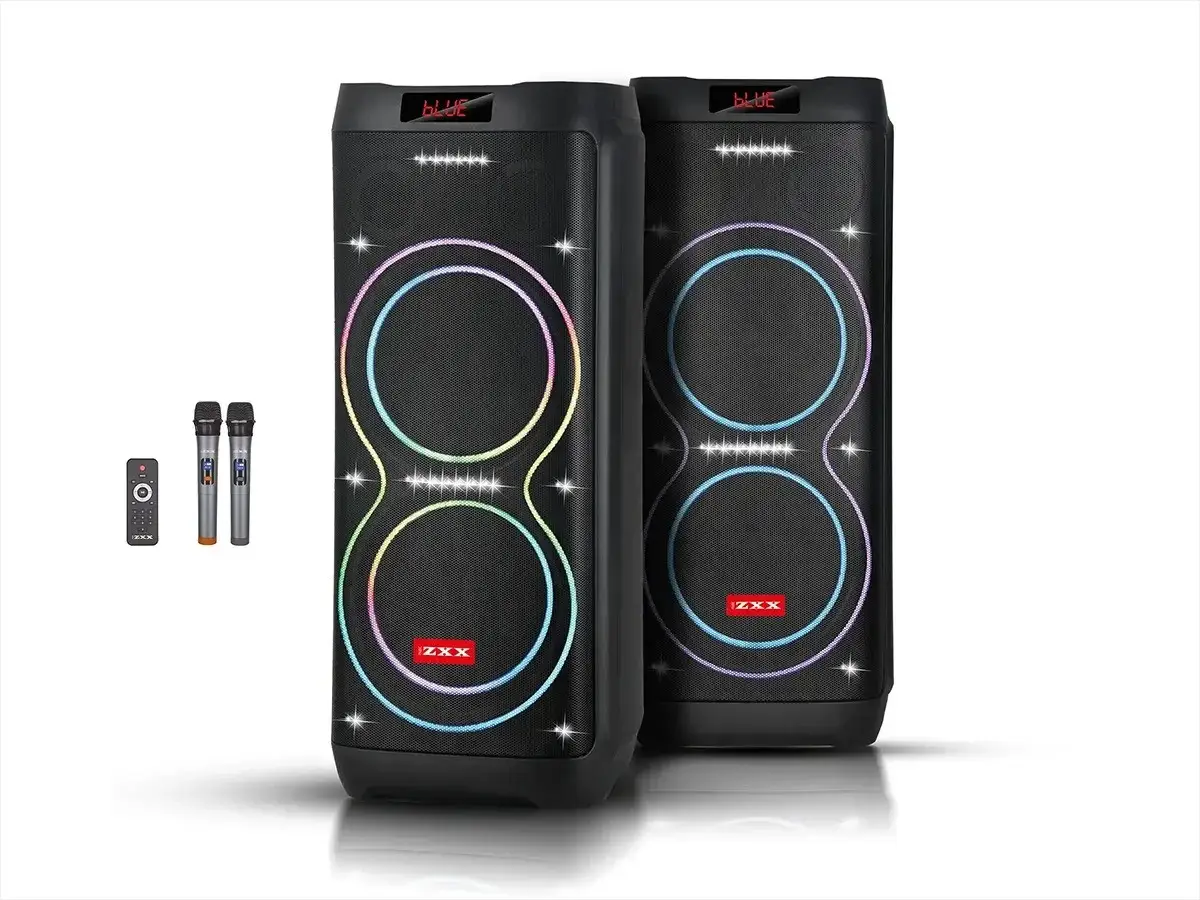 Колонка акумуляторна ZXX-5560 100 Вт з 2 мікрофонами та пультом Чорний (GR-04814)