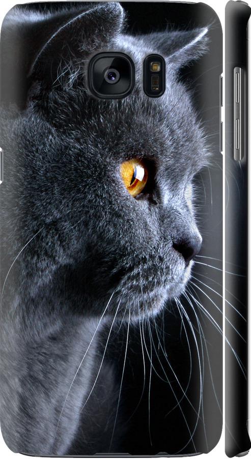Чехол на Samsung Galaxy S7 Edge G935F Красивый кот (3038c-257-42517)