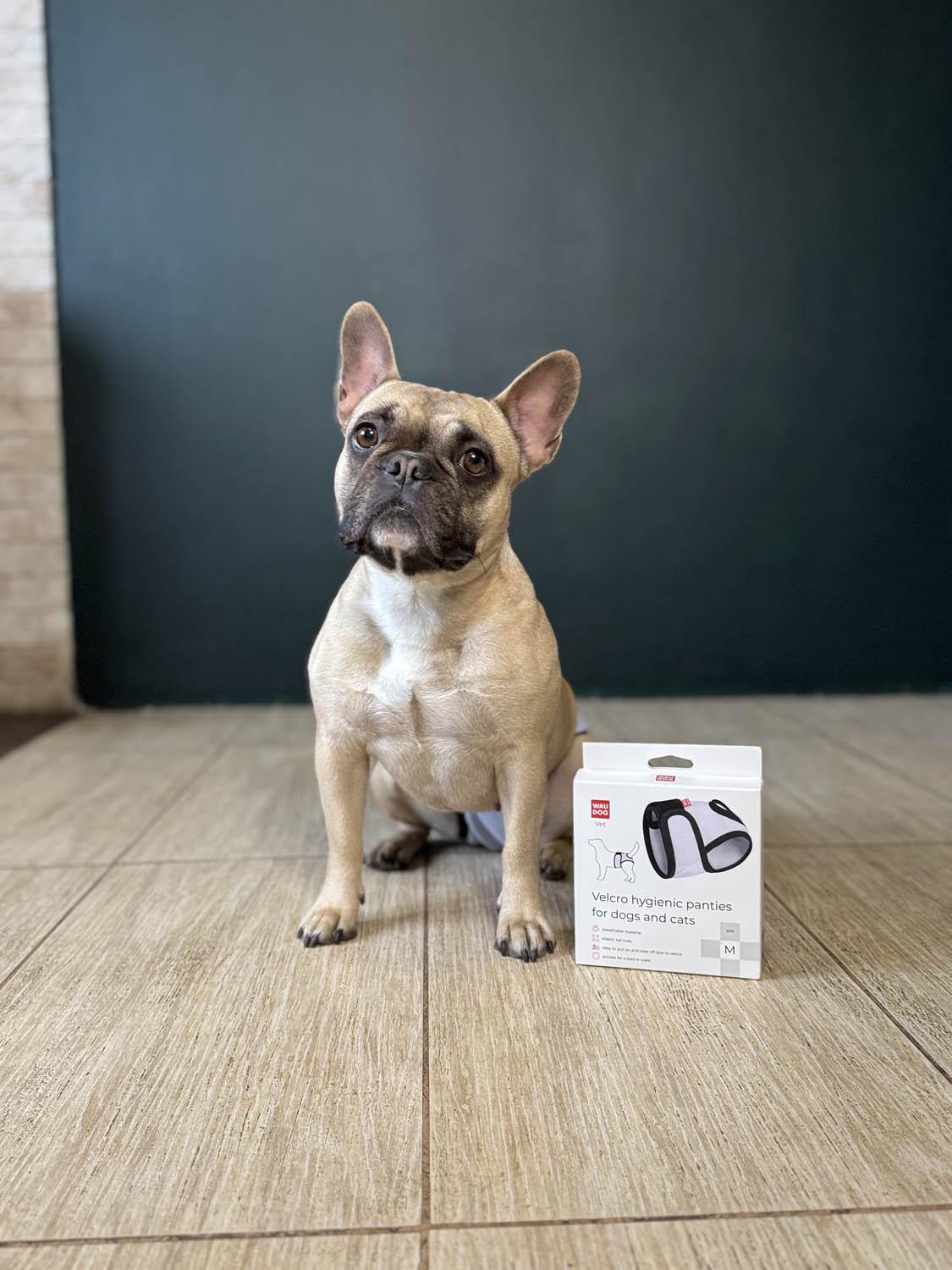 Труси гігієнічні для котів та собак Waudog Vet на липучках XXS Сірий (2495453425) - фото 14