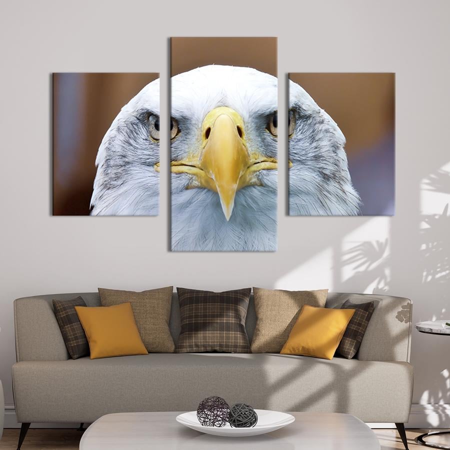 Модульная картина на холсте Триптих Хищный взгляд орла 141x90 см (204-32)