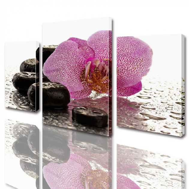 Картина модульная ArtStar Розовая орхидея на камнях ADFL0010 120х180 см 3 части