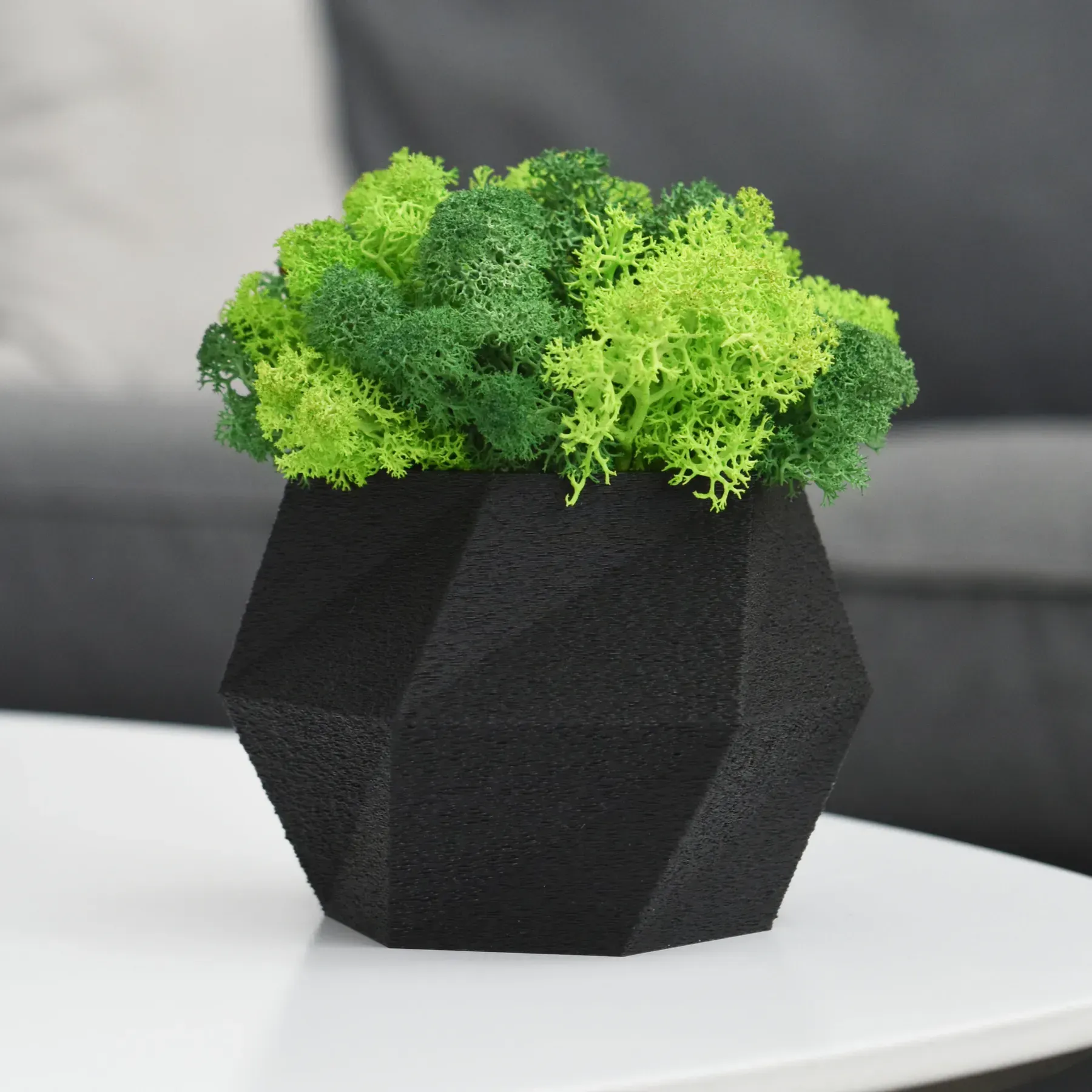 Кашпо Hurricane со стабилизированным мхом Черный/Зеленый/Салатовый (KM-C-1)