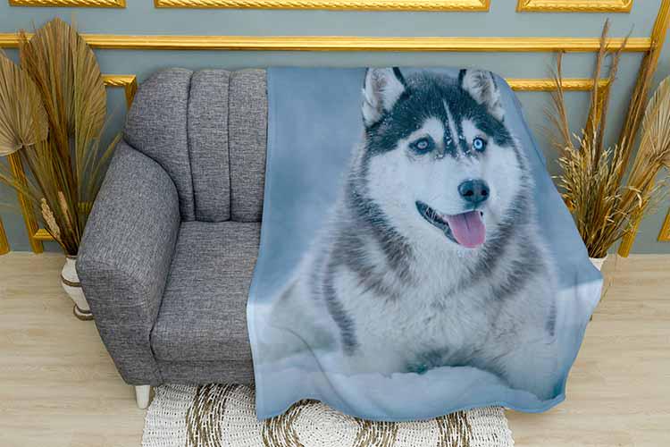 Плед Malamute in the snow плюш однослойный 150х210 см (113468-1)