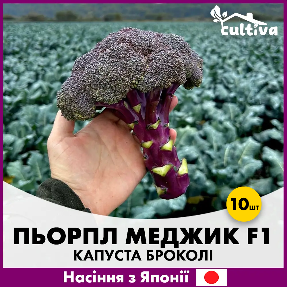 Семена капусты брокколи Sakata Перпл Меджик F1 10 шт. (R51046_10)