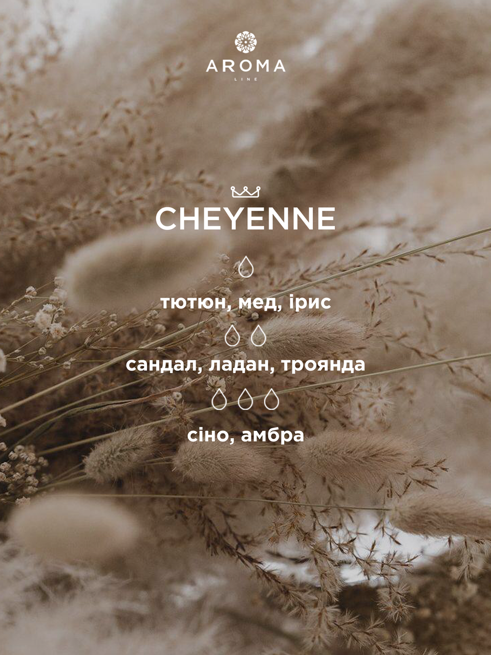 Аромат/отдушка Cheyenne для изготовления парфюмов косметики и аромадиффузоров 10 г - фото 2