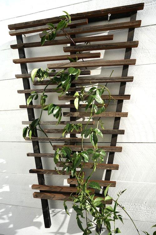 Опора для плетущихся из дерева Сенуко Мокко (ОДВ-003811)