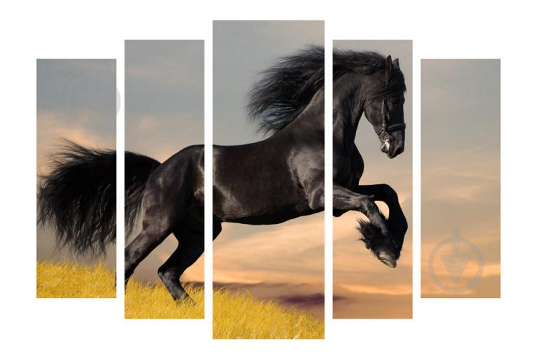 Модульная картина Декор Карпаты 120х80 см Черный конь (M5-z223)