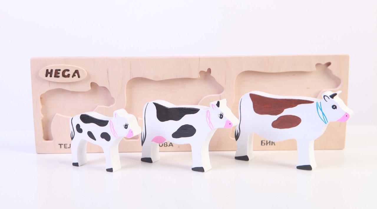 Набор рамка-вкладыш HEGA Коровы с объёмными фигурками и карточками(123) - фото 2 Набор рамка-вкладыш HEGA Коровы с объёмными фигурками и карточками(123) - фото 2