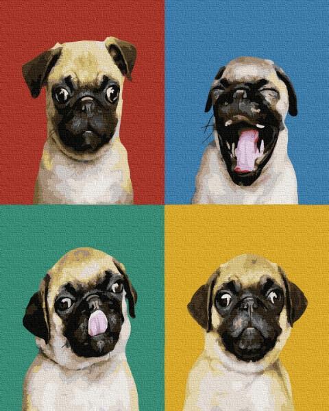 Картина за номерами Brushme Колаж з мопсом 40х50 см у термопакеті (GX37566)