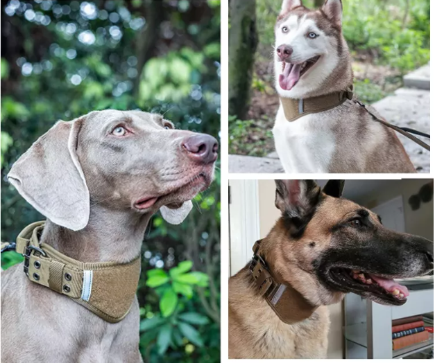 Нашийник для собак середніх і великих порід Ulink світловідбиваючий М 35-45 см Коричневий (1931750657) - фото 4 Нашийник для собак середніх і великих порід Ulink світловідбиваючий М 35-45 см Коричневий (1931750657) - фото 4