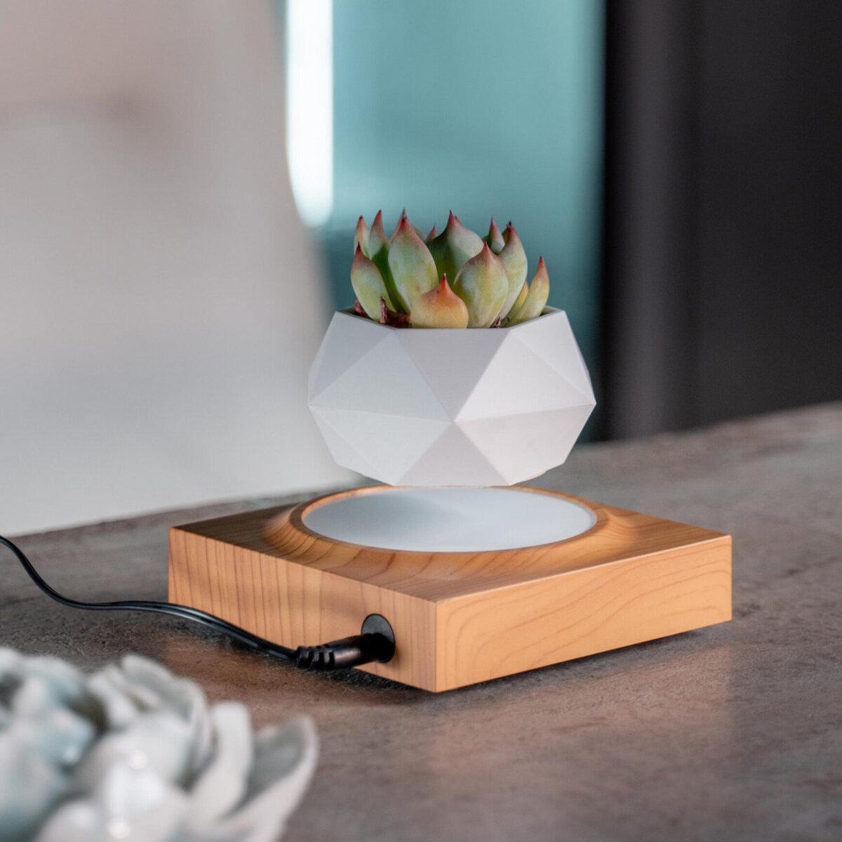 Горщик для рослин магнітний левітуючий HCNT Magnetic Levitating Pot M10-FP ABS Wood Grain (SIM10-FP) - фото 3