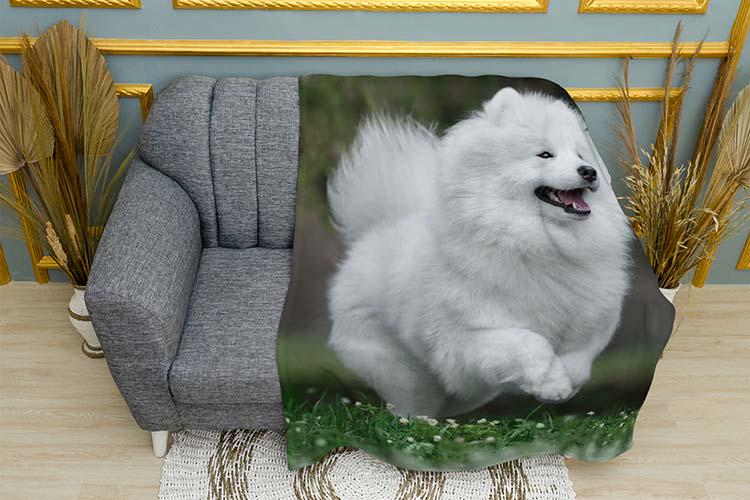Плед White Spitz in the field плюш однослойный 135х150 см (113979)