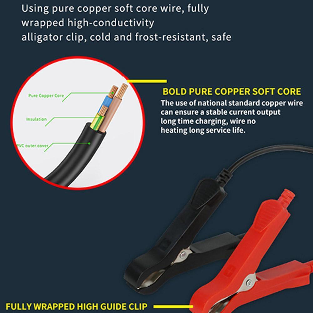 Автомобильное зарядное устройство с защитой от КЗ и функцией десульфатации (9588394) - фото 10