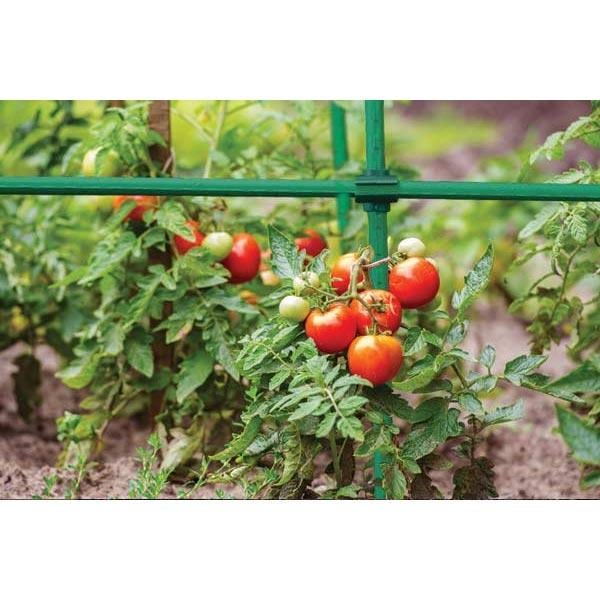 Опора садова сталева Bradas 1,6х180 см - фото 2 Опора садова сталева Bradas 1,6х180 см - фото 2