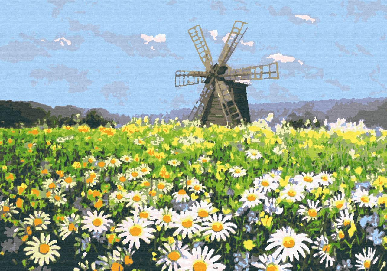 Картина по номерам Riviera Blanca Ромашковое поле RB-0160 28x40 см (2358983610)