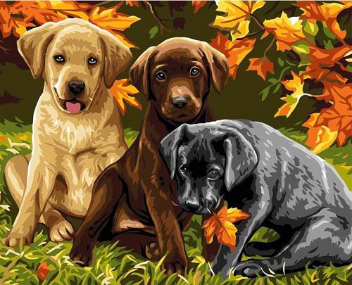 Картина по номерам Brushme Три щеночка 40х50 см (GX6530)