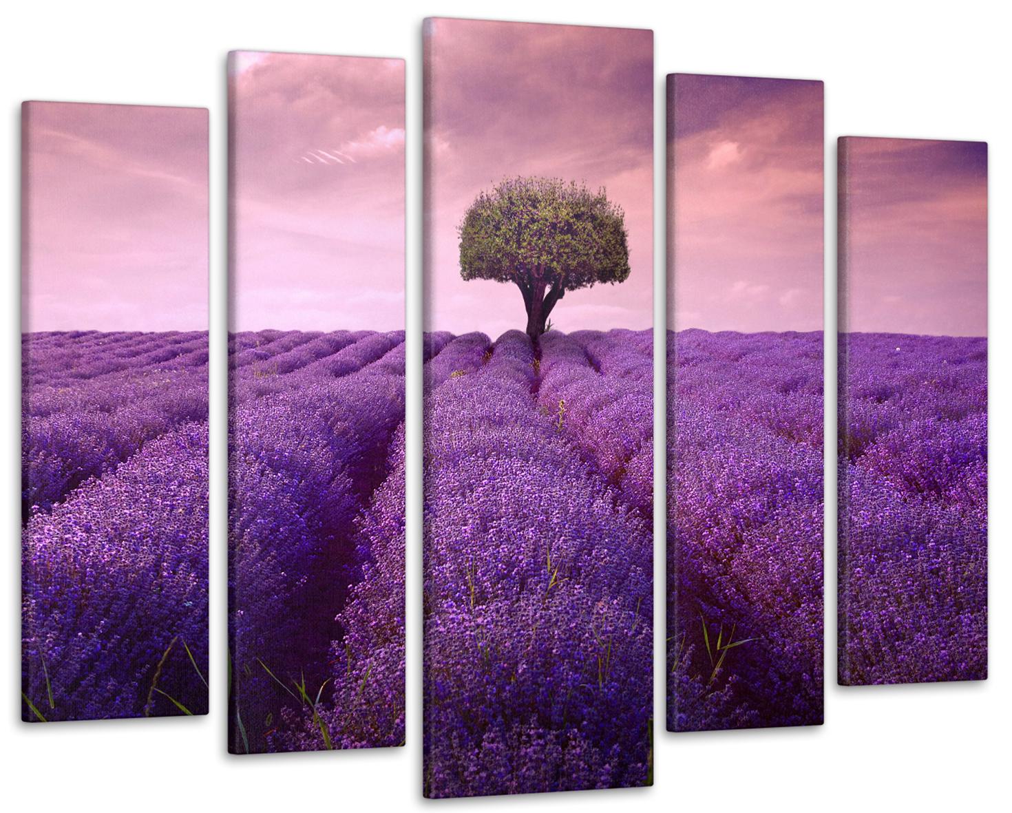 Картина модульная Поле Лаванды 115х170 см (Art-360_5)