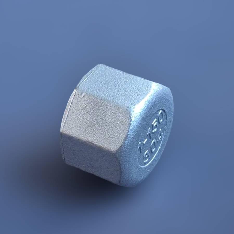 Заглушка різьбова восьмигранна DN25 BSPP н/ж сталь AISI304 Class-150 внутрішня різьба 1" (29203227) - фото 13 Заглушка різьбова восьмигранна DN25 BSPP н/ж сталь AISI304 Class-150 внутрішня різьба 1" (29203227) - фото 13