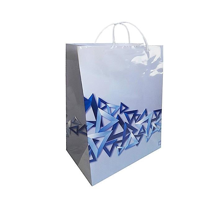 Пакет подарунковий ППМ Свято 3 шт. 400х300х180 мм Блакитний з принтом