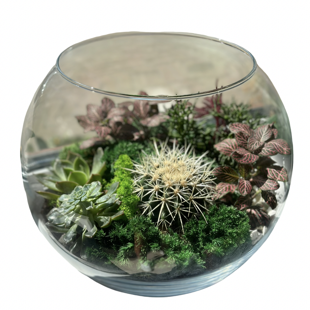 Флораріум круглий Plants room 27 см (20153028)