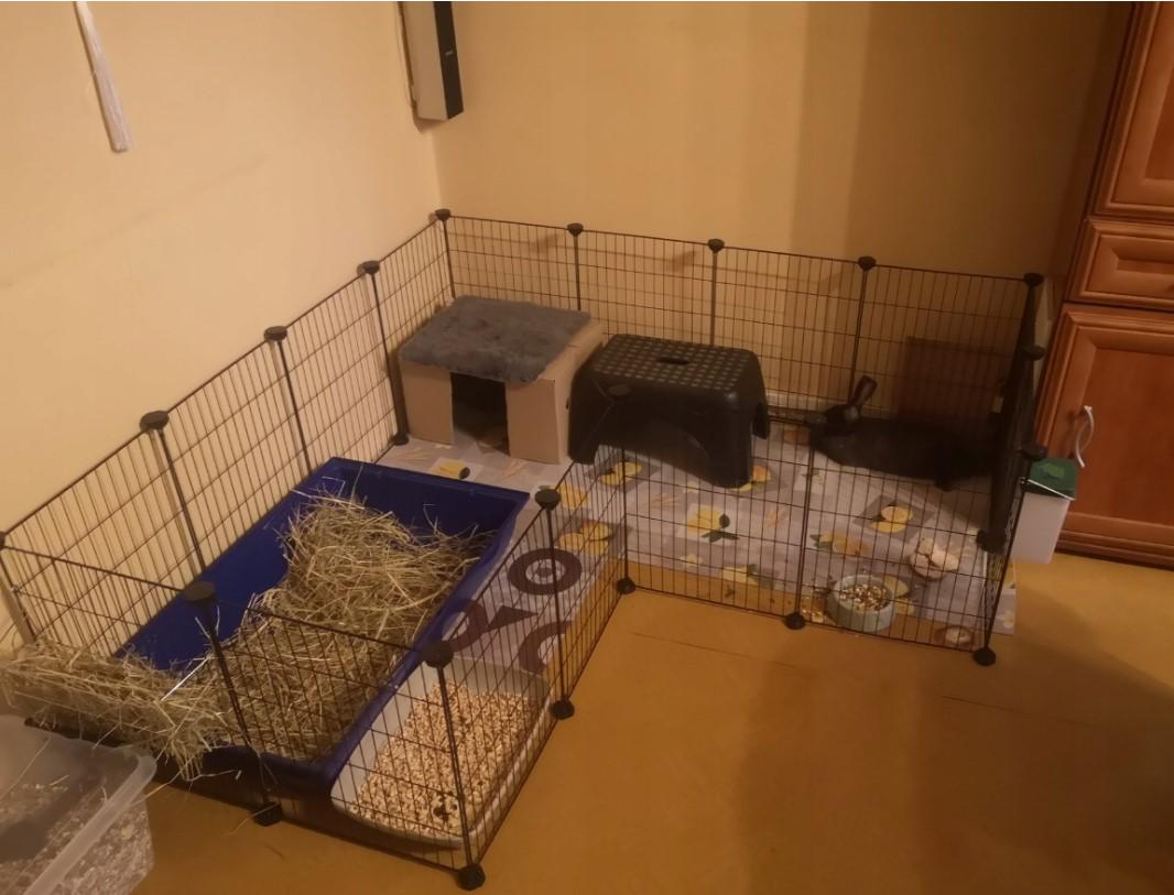 Клітка для гризунів 46х143х73 см - фото 18 Клітка для гризунів 46х143х73 см - фото 18