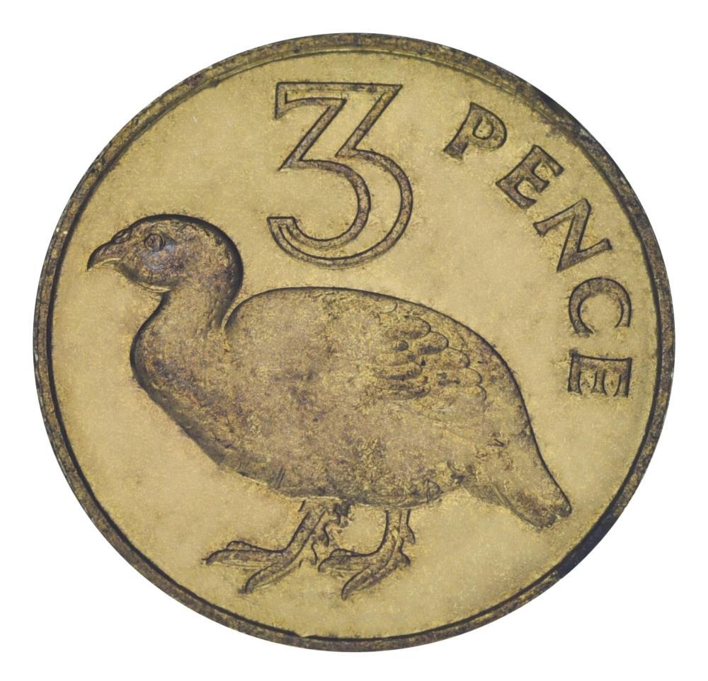 Коллекционная монета Гамбия 3 пенса 1966 F-VF Птица (М20716)