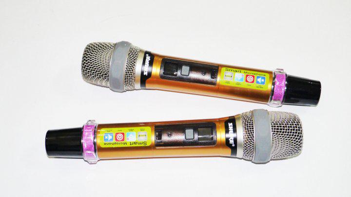 Микрофон DM UG-X10 II Shure вокальный динамический с радиосистемой 2 шт. - фото 5