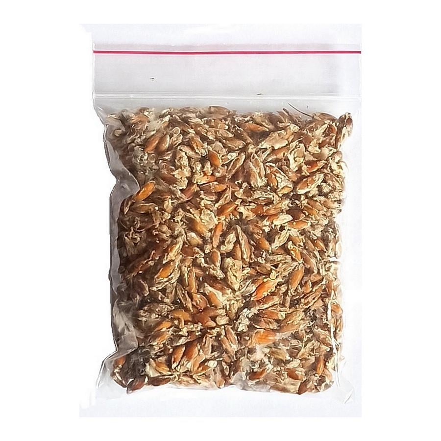 Мицелий гриб белый лисички Насіння країни 100 г (16216)