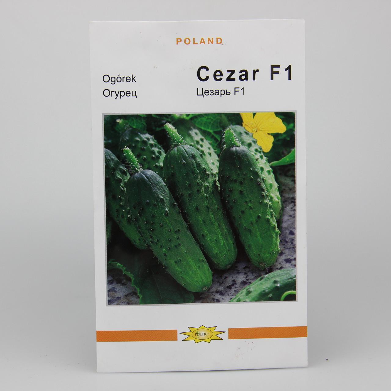 Семена огурца Цезарь F1 Poland 3 г (22963)