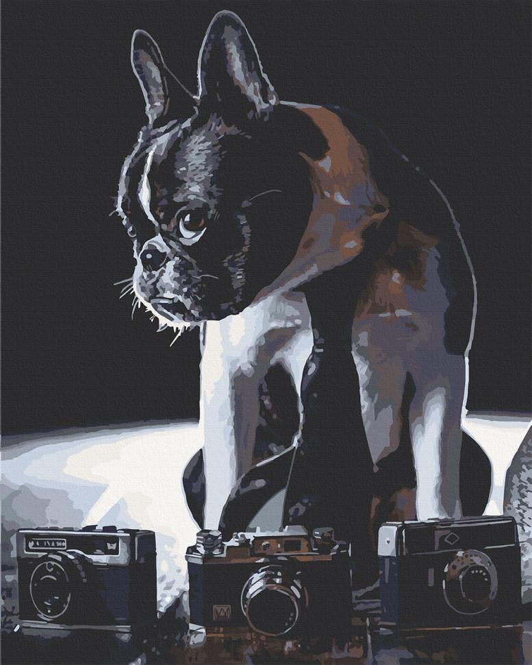 Картина по номерам Art Craft "Застенчивый фотограф" 40x50 см (11642-AC)