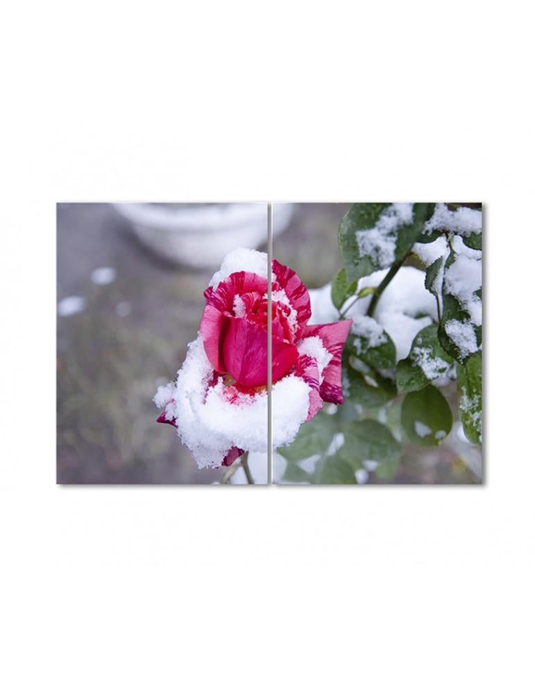 Картина модульная Розовая роза в снегу 2 модуля 120x180 см