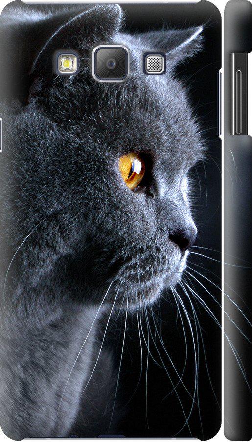Чехол на Samsung Galaxy A7 A700H Красивый кот (3038m-117-42517)