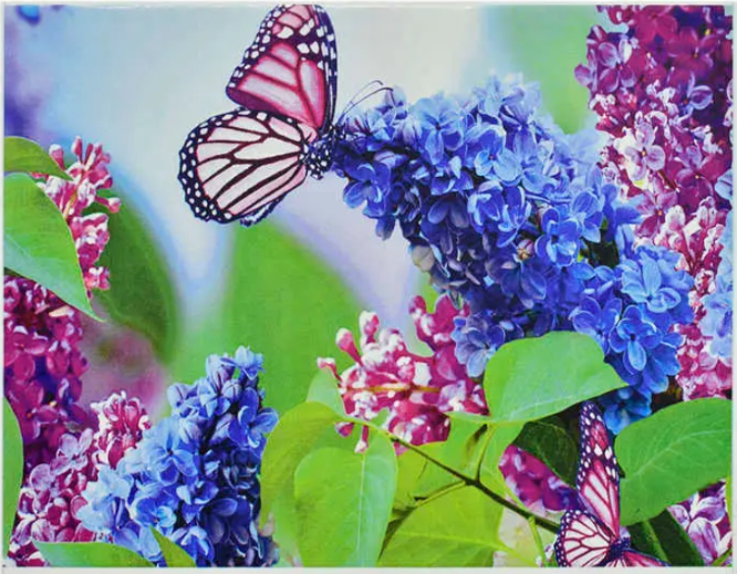 Алмазна мозаїка TK Group 24 кольори 40х30 см (GB 72379)