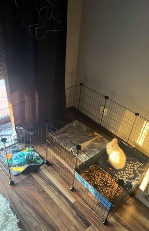 Клітка для гризунів 46х143х73 см - фото 20 Клітка для гризунів 46х143х73 см - фото 20