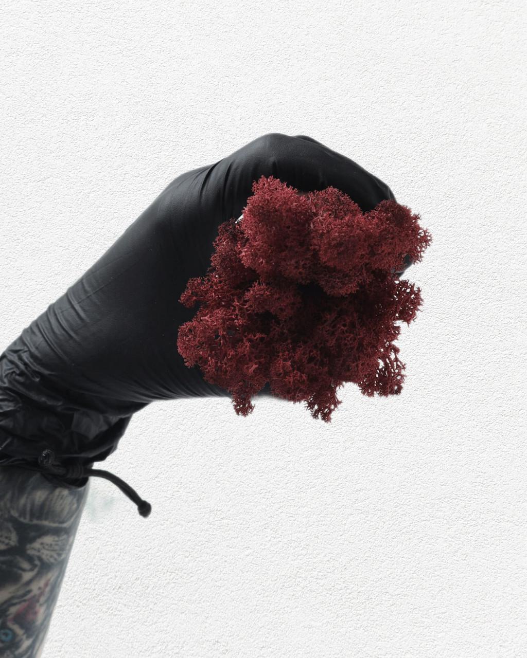 Стабілізований мох Autumn (20698580) - фото 2 Стабілізований мох Autumn (20698580) - фото 2