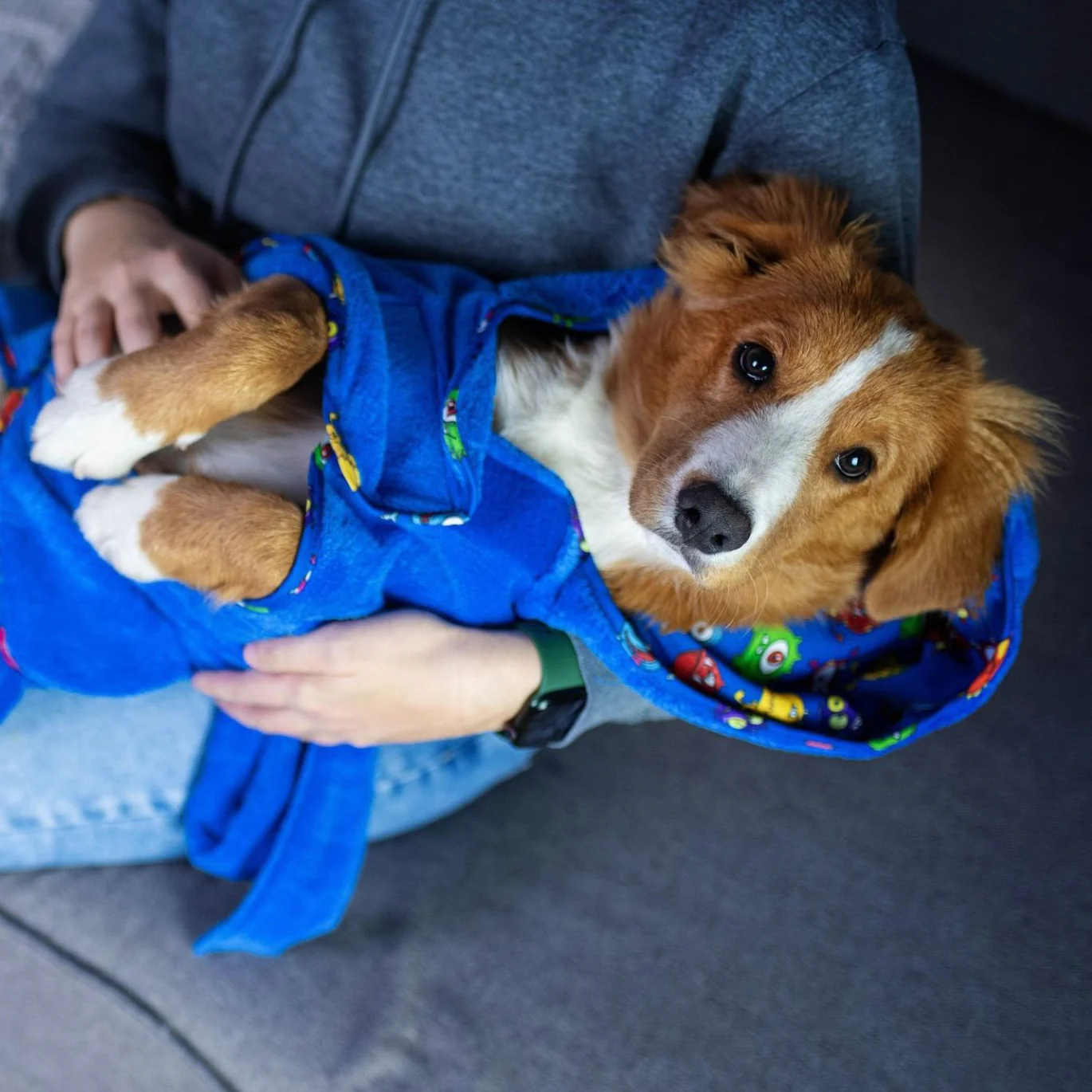 Халат для собак Max & Molly Bath Robe Little Monster S (2670646496) - фото 2