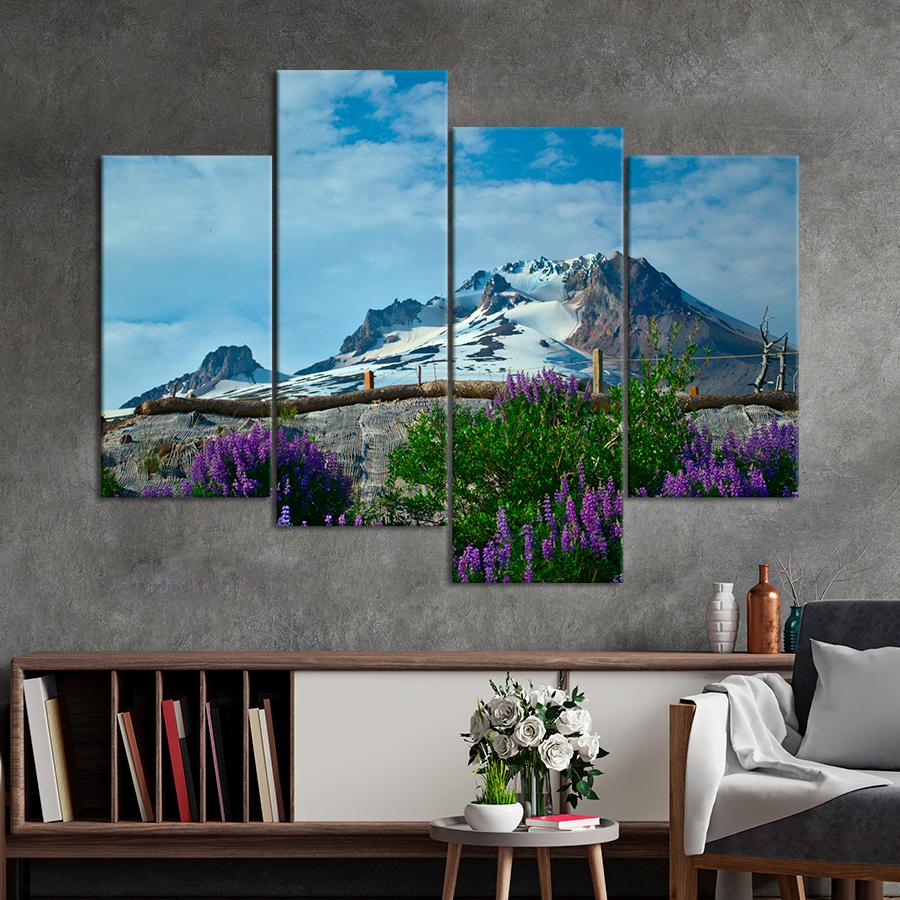 Картина природа Цветы на фоне вершины Маунт-Худ 149x106 см (A1097-4)